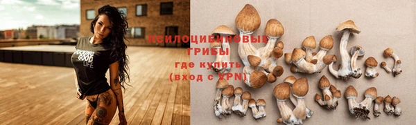 героин Алексин