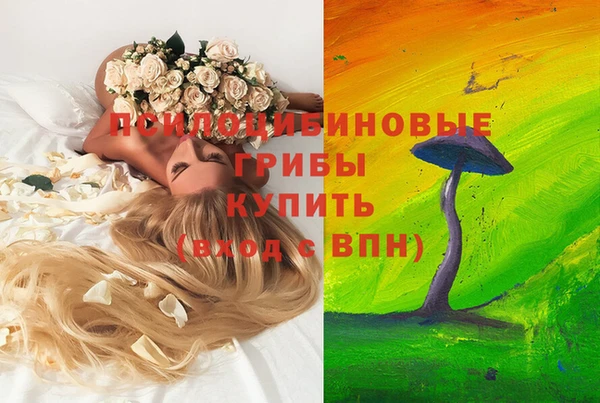 трава Алзамай